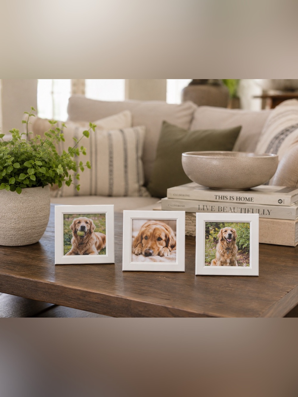 Harbortown Industries 3 Pack 4x4in Photo Frames White Finish